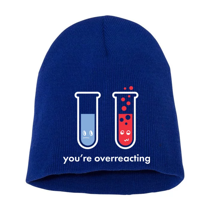 You're Overreacting Funny Science Short Acrylic Beanie