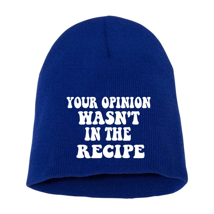 Your Opinion Wasnt In The Recipe Great Gift Short Acrylic Beanie