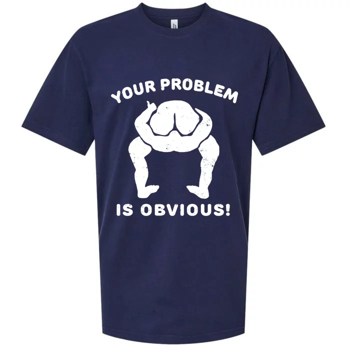 Your Problem Is Obvious Sueded Cloud Jersey T-Shirt