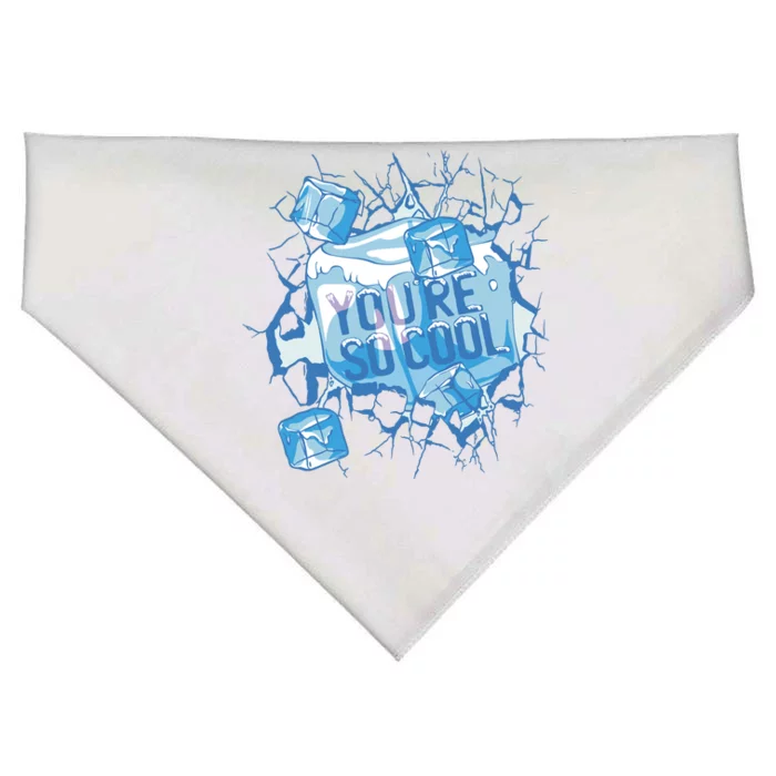 You're So Cool Ice Gift USA-Made Doggie Bandana