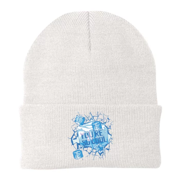 You're So Cool Ice Gift Knit Cap Winter Beanie