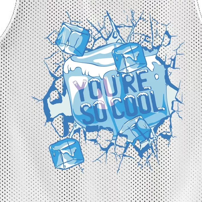 You're So Cool Ice Gift Mesh Reversible Basketball Jersey Tank