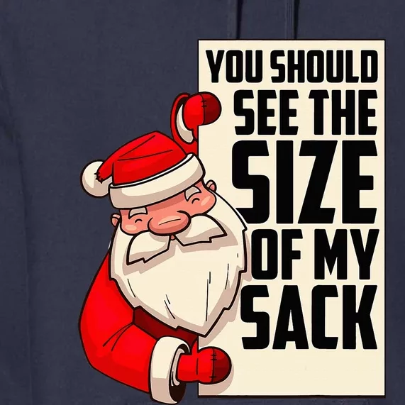 You Should See The Size Of My Sack Funny Santa Christmas Premium Hoodie