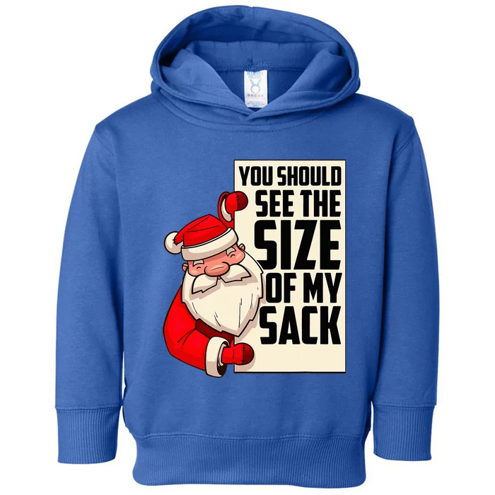 You Should See The Size Of My Sack Funny Santa Christmas Toddler Hoodie