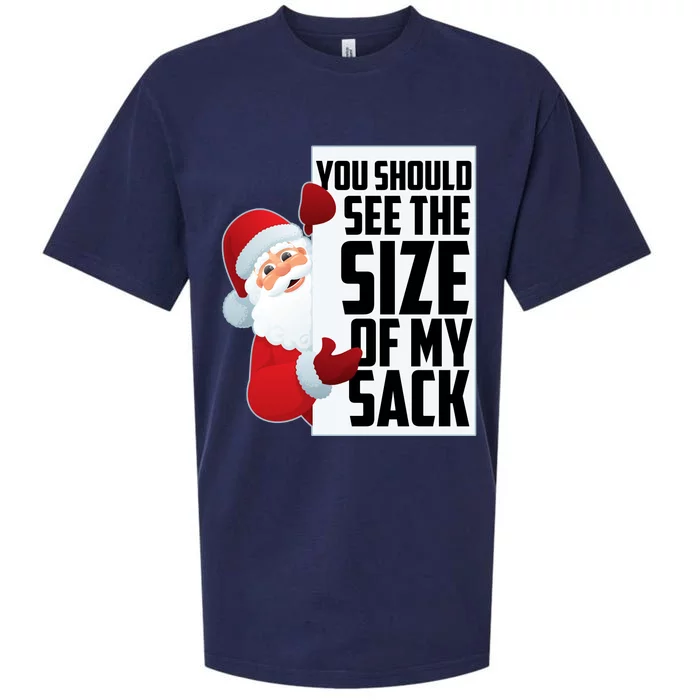 You Should See The Size Of My Sack Funny Santa Claus Sueded Cloud Jersey T-Shirt