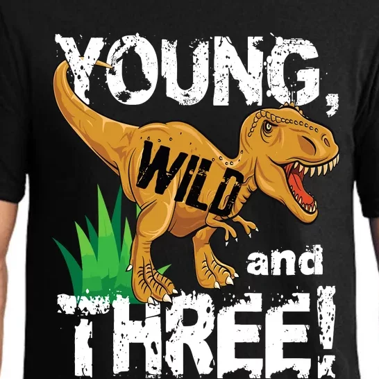 Young Wild And Three (3) Dinosaur Trex Birthday Boy Pajama Set