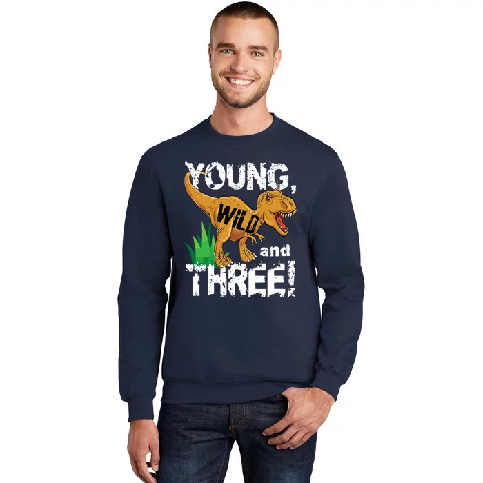 Young Wild And Three (3) Dinosaur Trex Birthday Boy Tall Sweatshirt