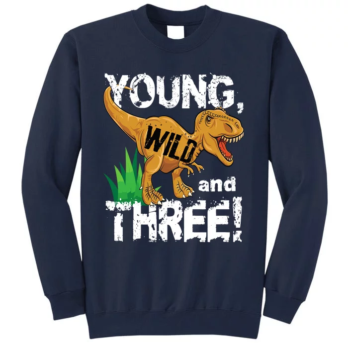 Young Wild And Three (3) Dinosaur Trex Birthday Boy Tall Sweatshirt