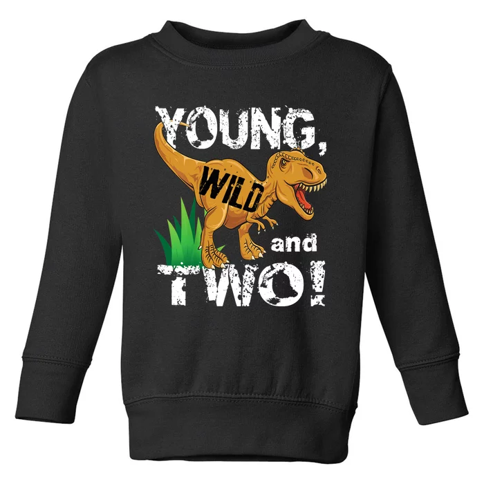 Young, Wild and Two 2 year old dinosaur birthday shirt boy Toddler Sweatshirt