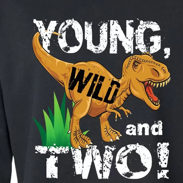 Young, Wild and Two 2 year old dinosaur birthday shirt boy Cropped Pullover Crew