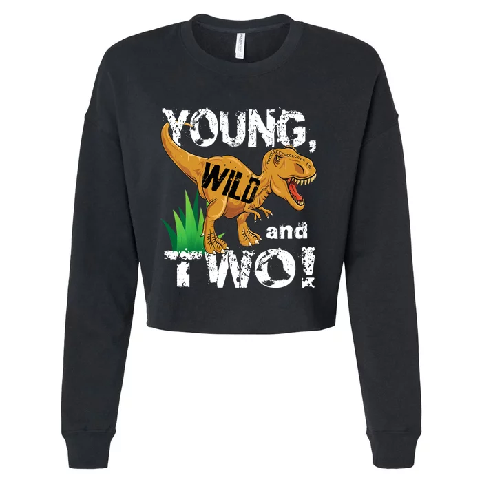 Young, Wild and Two 2 year old dinosaur birthday shirt boy Cropped Pullover Crew