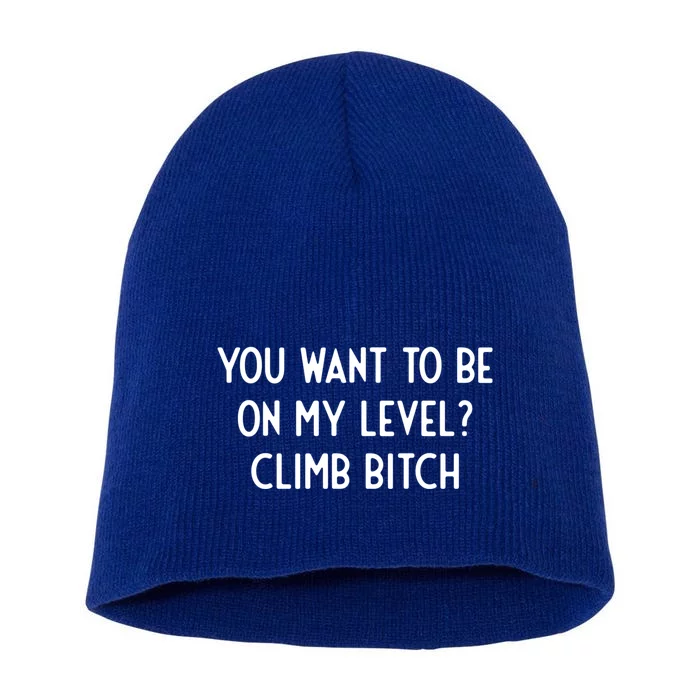 You Want To Be On My Level Climb Bitch I Funny Gift Short Acrylic Beanie