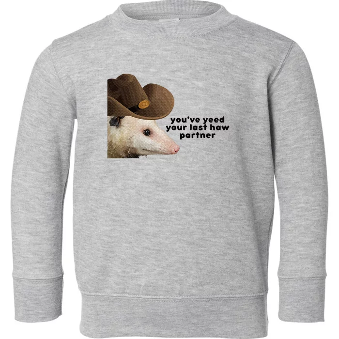 YouVe Yeed Your Last Haw Partner Possum Meme Toddler Sweatshirt