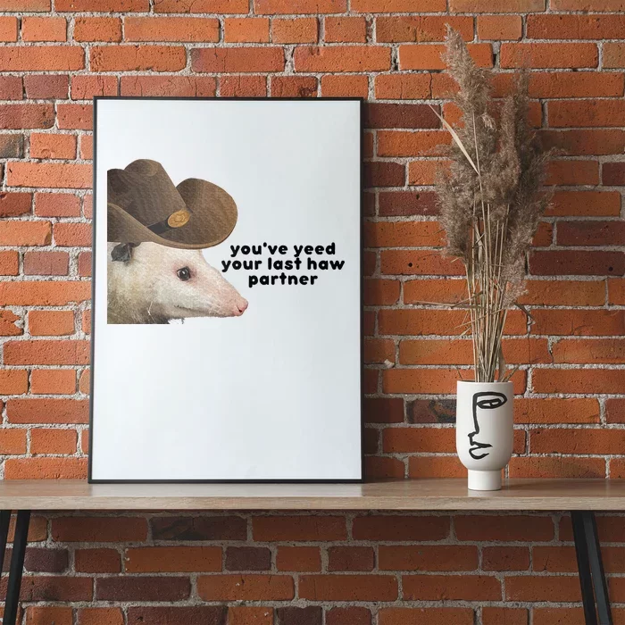 YouVe Yeed Your Last Haw Partner Possum Meme Poster