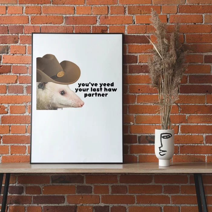 YouVe Yeed Your Last Haw Partner Possum Meme Poster