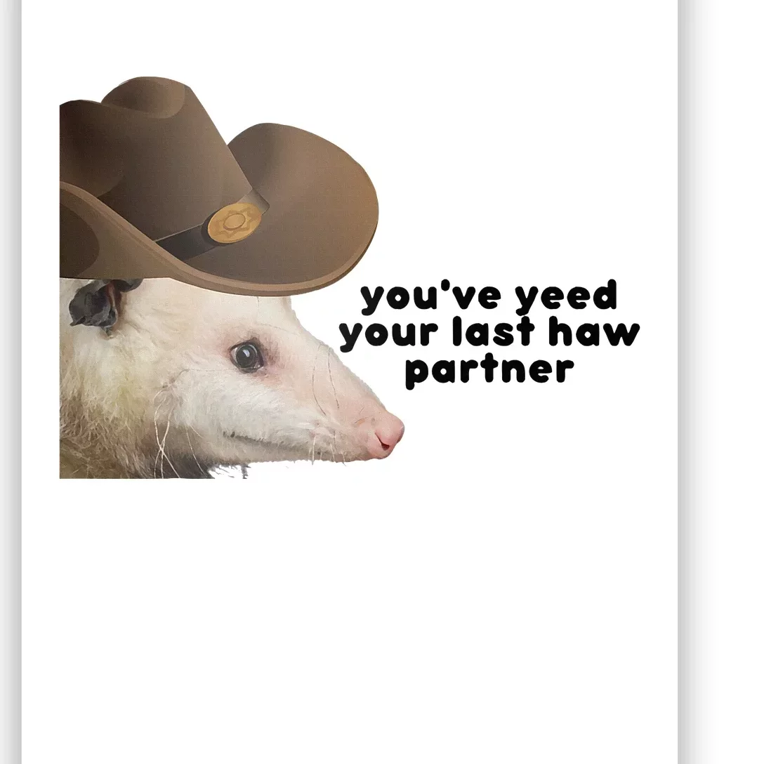 YouVe Yeed Your Last Haw Partner Possum Meme Poster