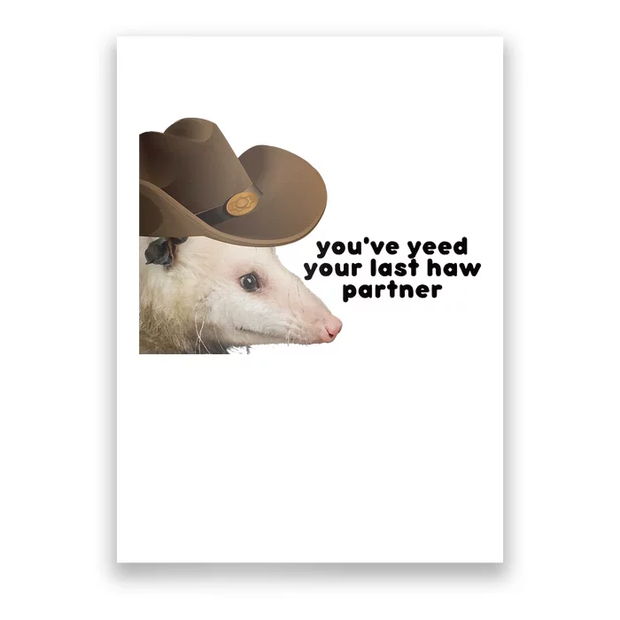 YouVe Yeed Your Last Haw Partner Possum Meme Poster