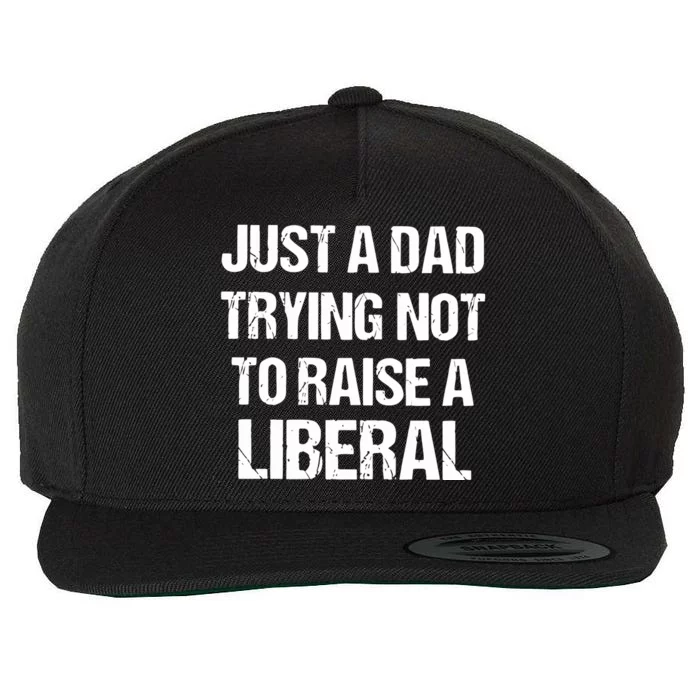 Zeek Arkham Just A Dad Trying Not To Raise A Liberal Wool Snapback Cap