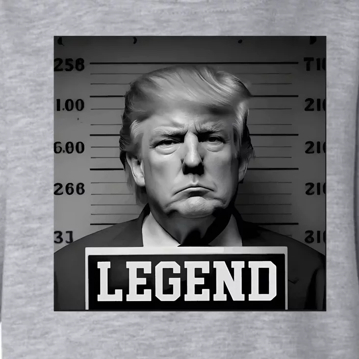 Zeek Arkham Trump Mugshot Legend Toddler Hoodie