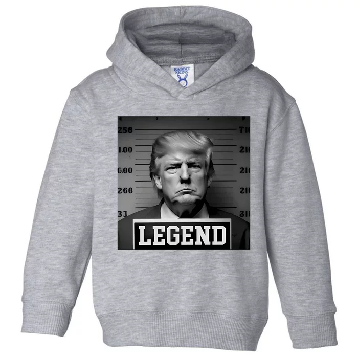 Zeek Arkham Trump Mugshot Legend Toddler Hoodie