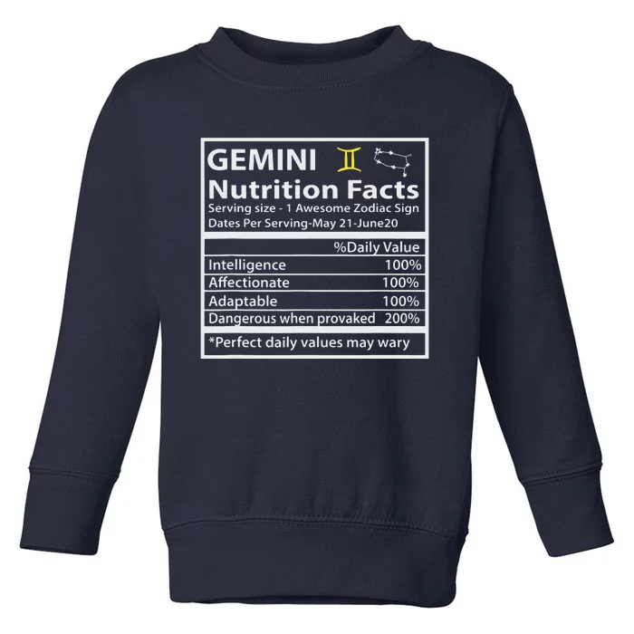 Zodiac Sign Gemini Astrologist Gift Gemini Toddler Sweatshirt